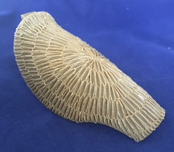 m p stippled backstrap small fde etsy