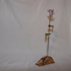 Einzelne Knospe Test Tube Vase. Spanische Olivenholz. Bis radelte Reagenzglas. Kostenlose P & P in Großbritannien