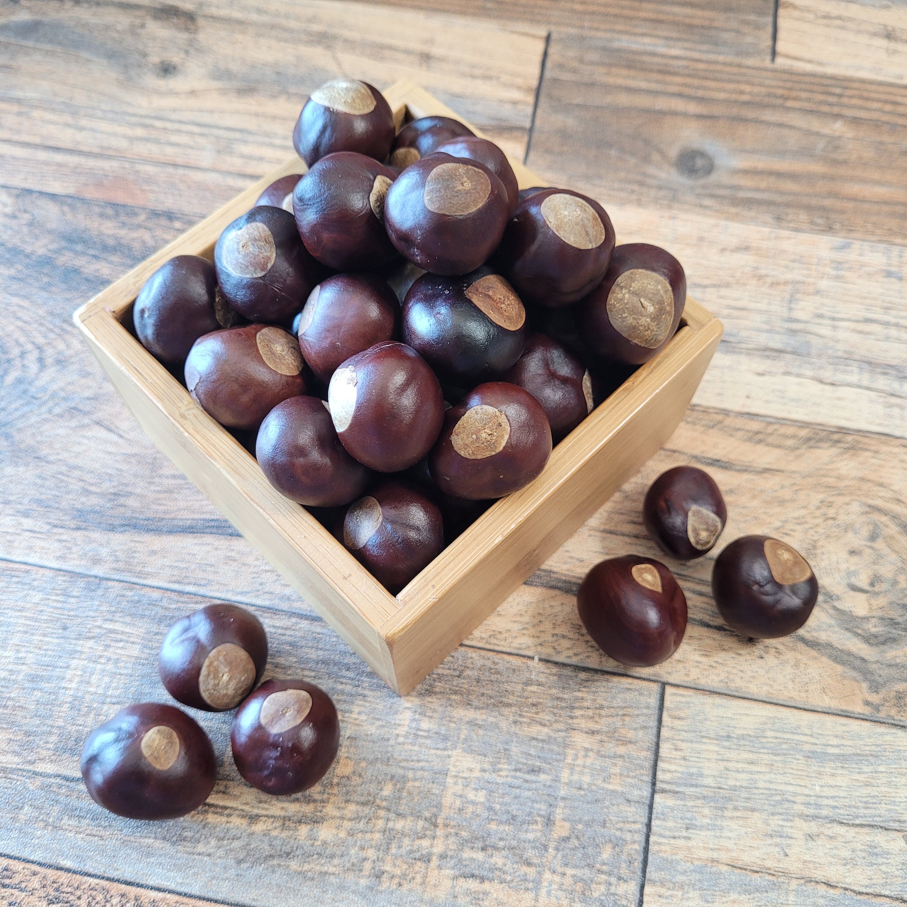 Real Buckeyes Buckeye Nuts 50 ALL ROUND Mix Size, Real Dried Buckeyes Harvested in ...