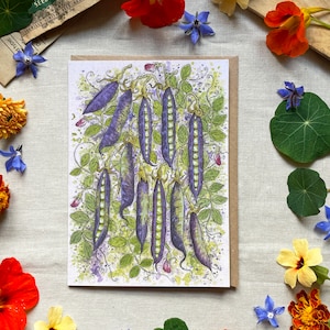 Purple Podded Peas Greetings Card