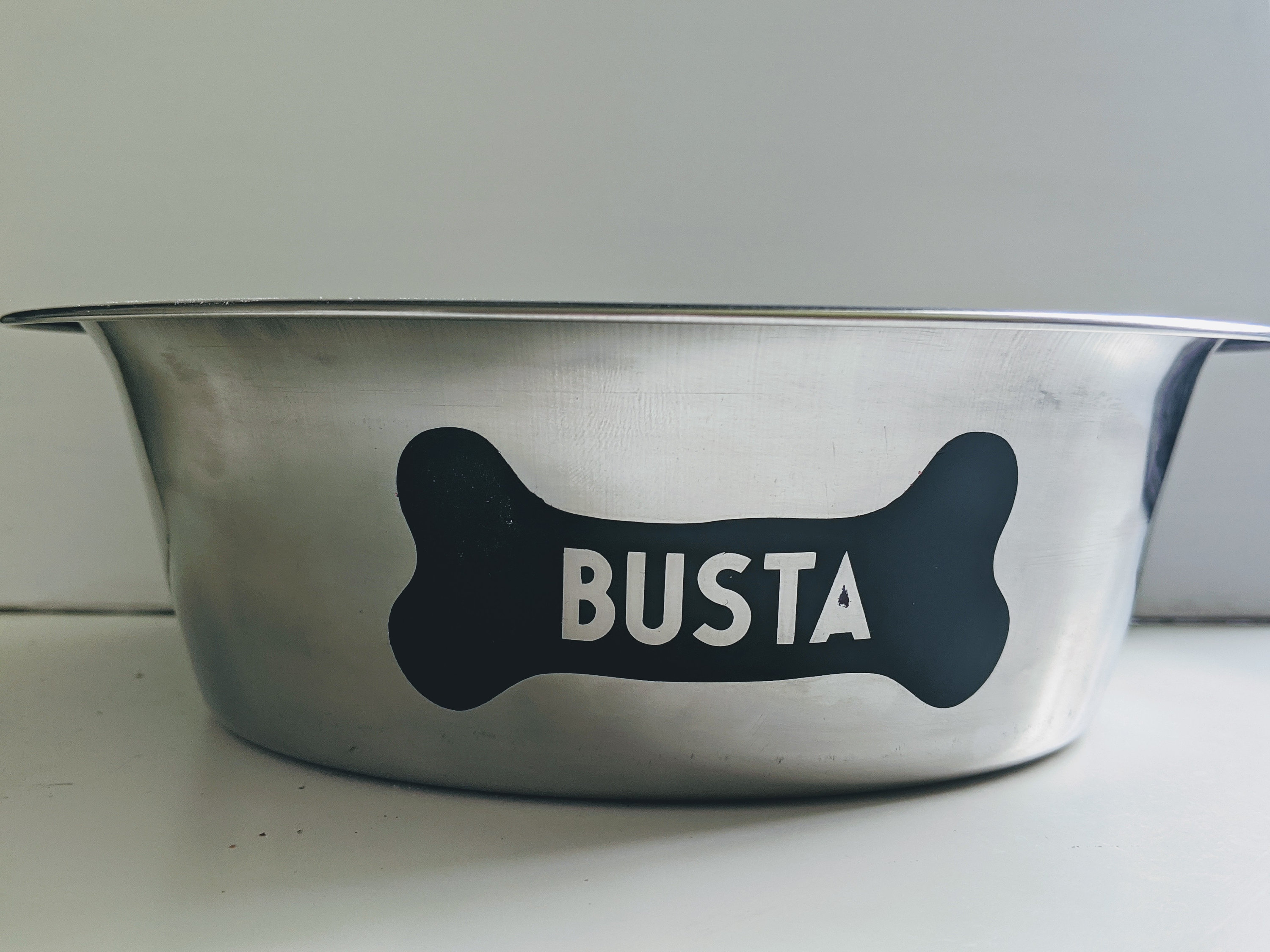 Personalized Stainless Steel Dog Bowl Custom Dog Bowl. Gifts Etsy