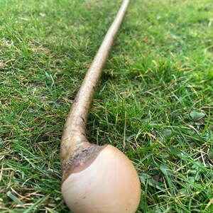 May include: A wooden walking stick with a smooth, rounded knob at the end. The stick is brown and has a natural, rustic finish.