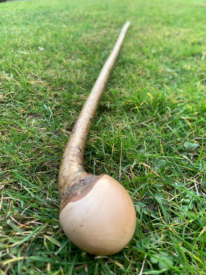 May include: A wooden walking stick with a smooth, rounded knob at the end. The stick is brown and has a natural, rustic finish.