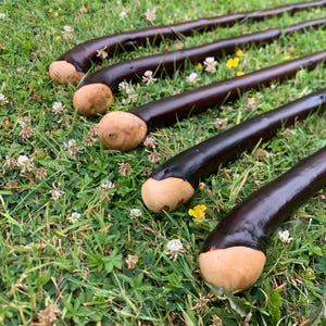 May include: Four dark brown walking sticks with light brown rounded handles rest on a bed of green grass. The sticks have a smooth, polished appearance, and the handles are a lighter shade of brown. The scene is outdoors, with small white and yellow flowers scattered around.