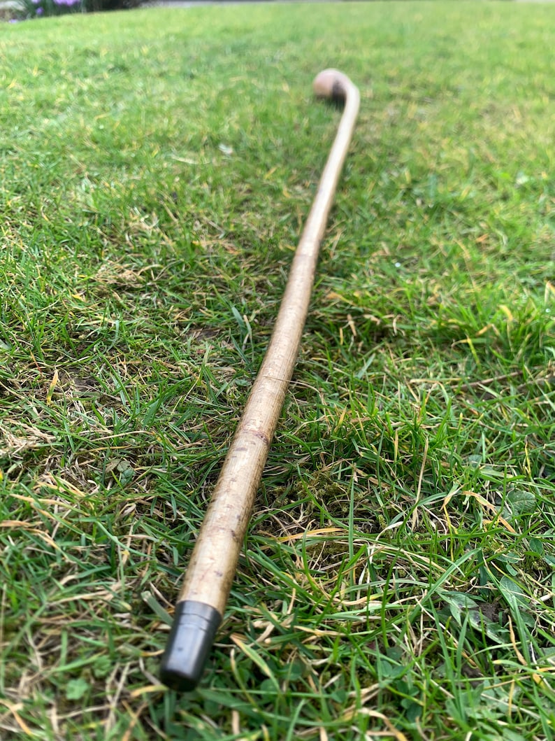 May include: A brown walking stick with a curved handle and a black rubber tip.