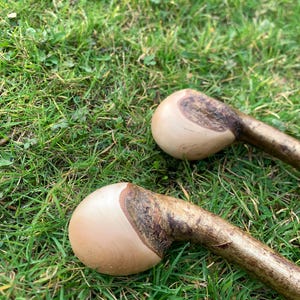 May include: Two wooden walking sticks with smooth, rounded, light brown handles and dark brown bark on the rest of the stick. The sticks are lying on a bed of green grass.