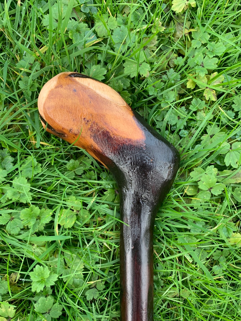 May include: A wooden walking stick with a dark brown stain and a natural wood handle. The handle is shaped like a rounded knob.