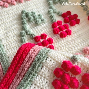 Cherry Blossom Blanket PDF Crochet Pattern, Instant Download, Crochet Blanket Pattern, Bobble Stitch Blanket, Rainbow Blanket