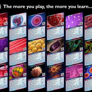 Geschenk für Schüler Geschenk Lernkartenspiel für kluges Kind Biologie Geschenk für Lehrer Klassenzimmer Aktivitätsspiel für Lehrer-Unterrichtsmaterial