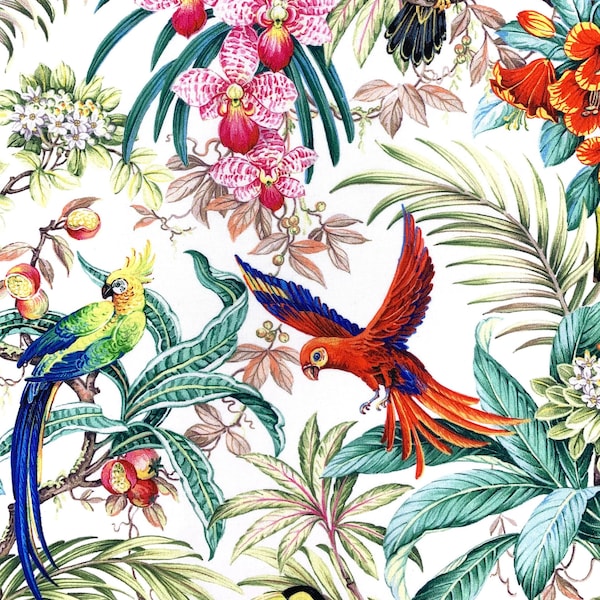 Tissu en coton avec oiseaux tropicaux, forêt tropicale, perroquet, toucan, jungle, imprimé floral