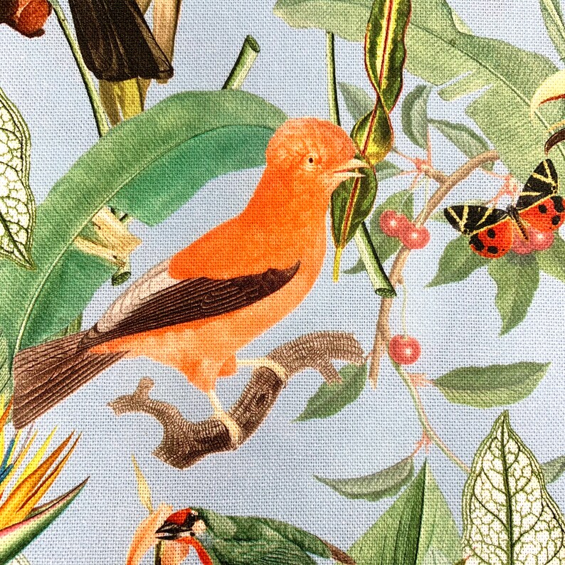 Puede incluir: Un p&aacute;jaro naranja brillante con alas marrones posado en una rama con hojas verdes y bayas rojas. El fondo es azul claro.