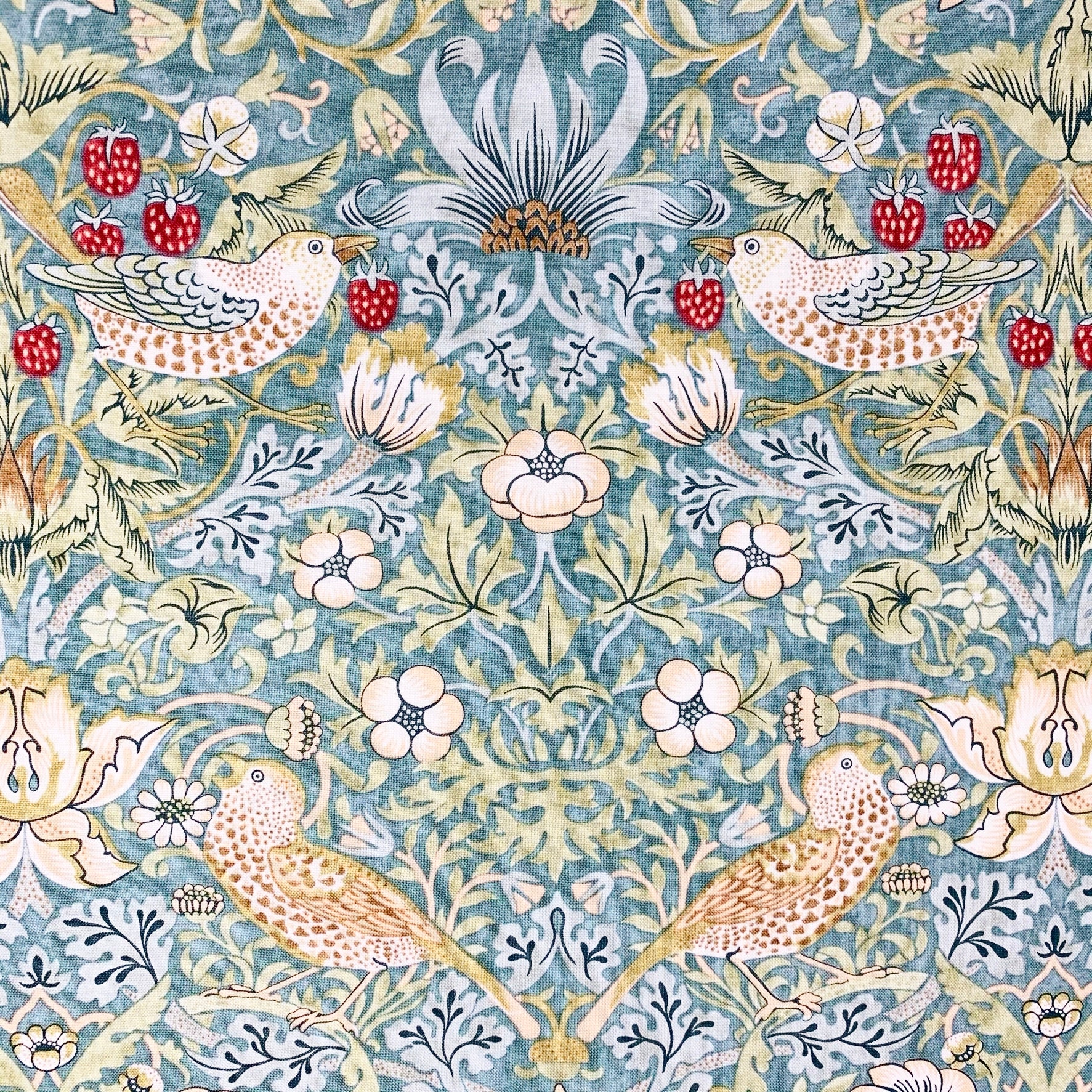 William Morris Velour: Strawberry Thief - Per ½ Metre - Vibes & Scribes