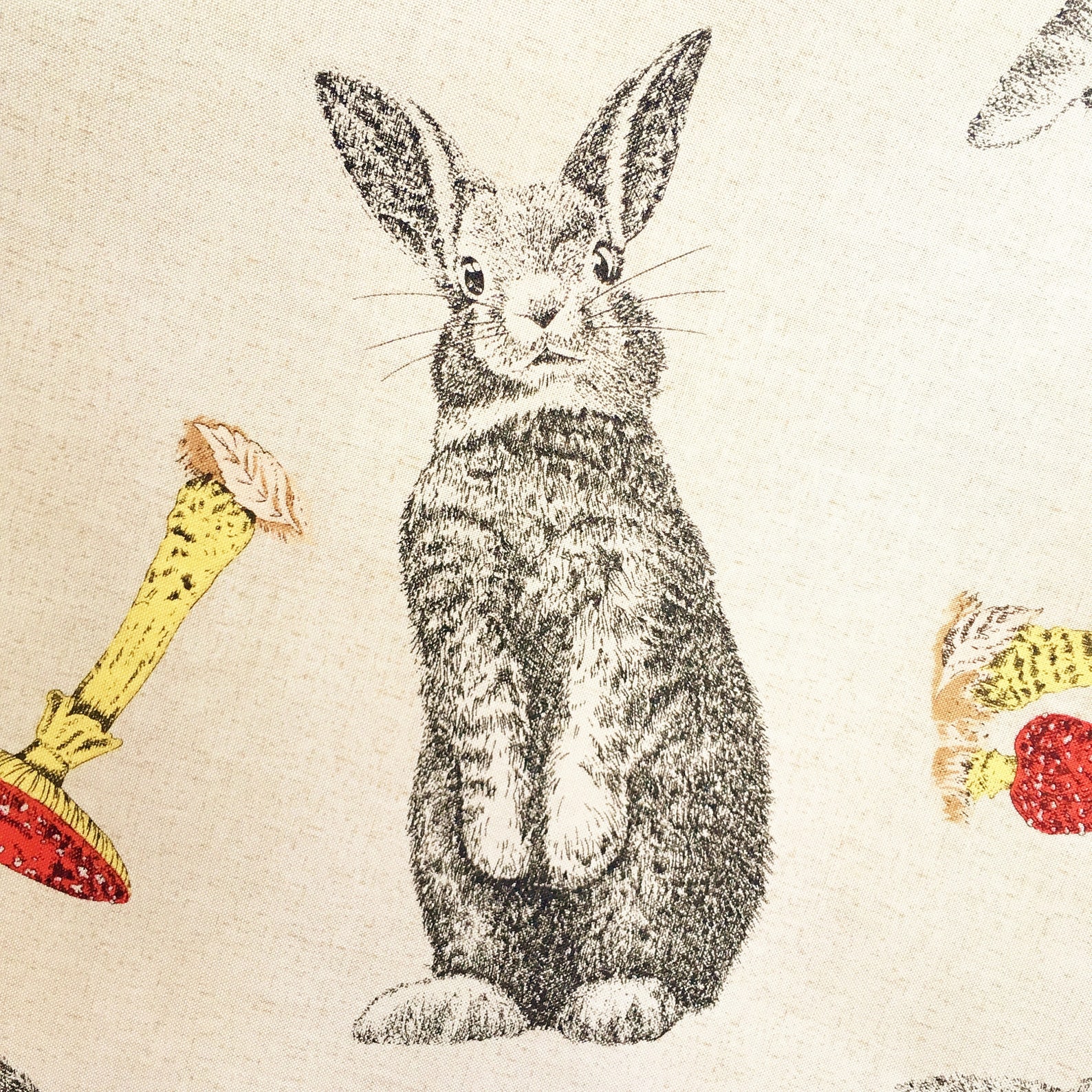 Rabbit Fabric, Rabbits & Toadstools, Bunny Fabric, Country Fabric ...