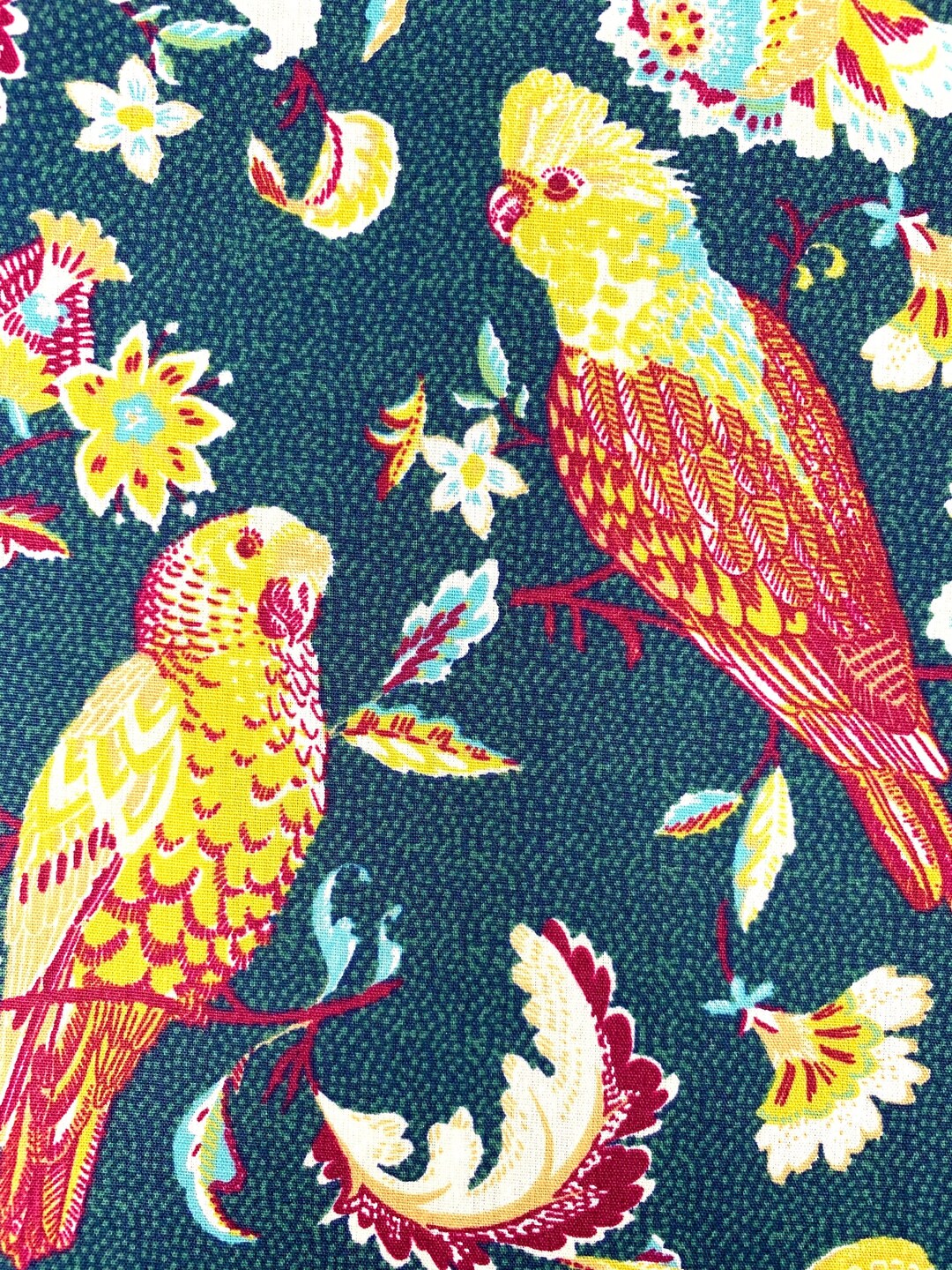 Parrots Fabric, Tropical Fabric, Cockatoo, Bird Fabric, Parakeet