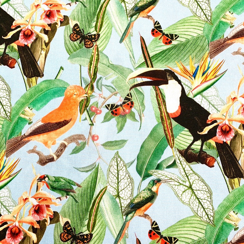 Puede incluir: Un patr&oacute;n sin costuras que presenta una variedad de aves tropicales, mariposas y flores sobre un fondo azul claro. Las aves incluyen un tuc&aacute;n, un colibr&iacute; y un peque&ntilde;o p&aacute;jaro naranja. Las flores son orqu&iacute;deas y aves del para&iacute;so.
