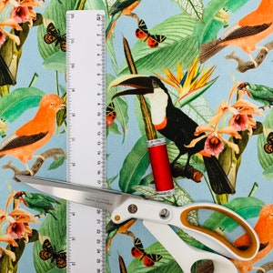 Puede incluir: Una tela azul con un estampado tropical que presenta tucanes, mariposas, orqu&iacute;deas y hojas. Un carrete de hilo rojo y un par de tijeras plateadas est&aacute;n sobre la tela.