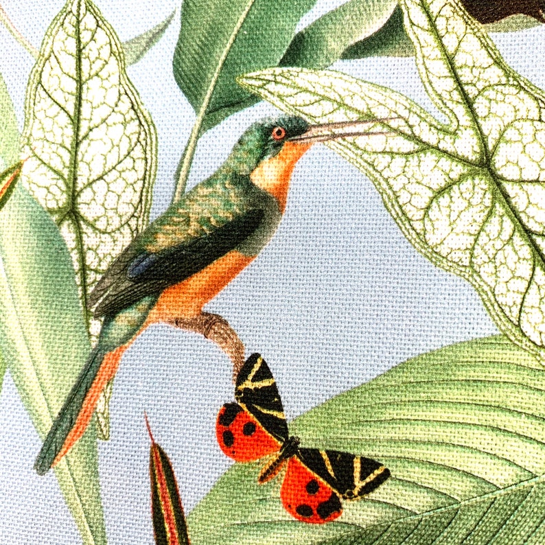 Puede incluir: Un p&aacute;jaro verde y naranja con un pico largo posado en una hoja verde. Una mariposa roja y negra con manchas blancas est&aacute; en la hoja debajo del p&aacute;jaro.