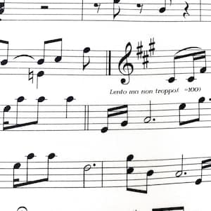 Tessuto di spartito musicale in cotone, foglio di materiale con note musicali
