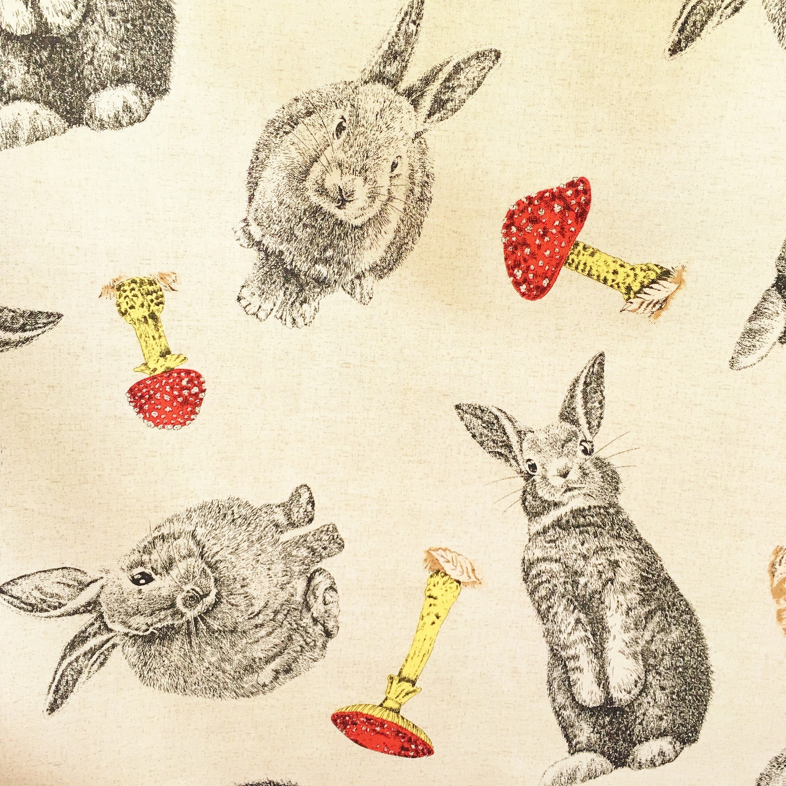 Rabbit Fabric, Rabbits & Toadstools, Bunny Fabric, Country Fabric ...