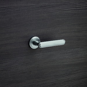 Può includere: Una maniglia per porta argentata con una leva rettangolare arrotondata e una piastra di base rotonda. La maniglia è montata su una porta in legno scuro.