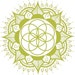 Proprietario di <a href='https://www.etsy.com/it/shop/HeavilyRooted?ref=l2-about-shopname&from_page=listing' class='wt-text-link'>HeavilyRooted</a>