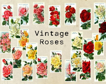 Digital Vintage Roses Ephemera Collage Sheet