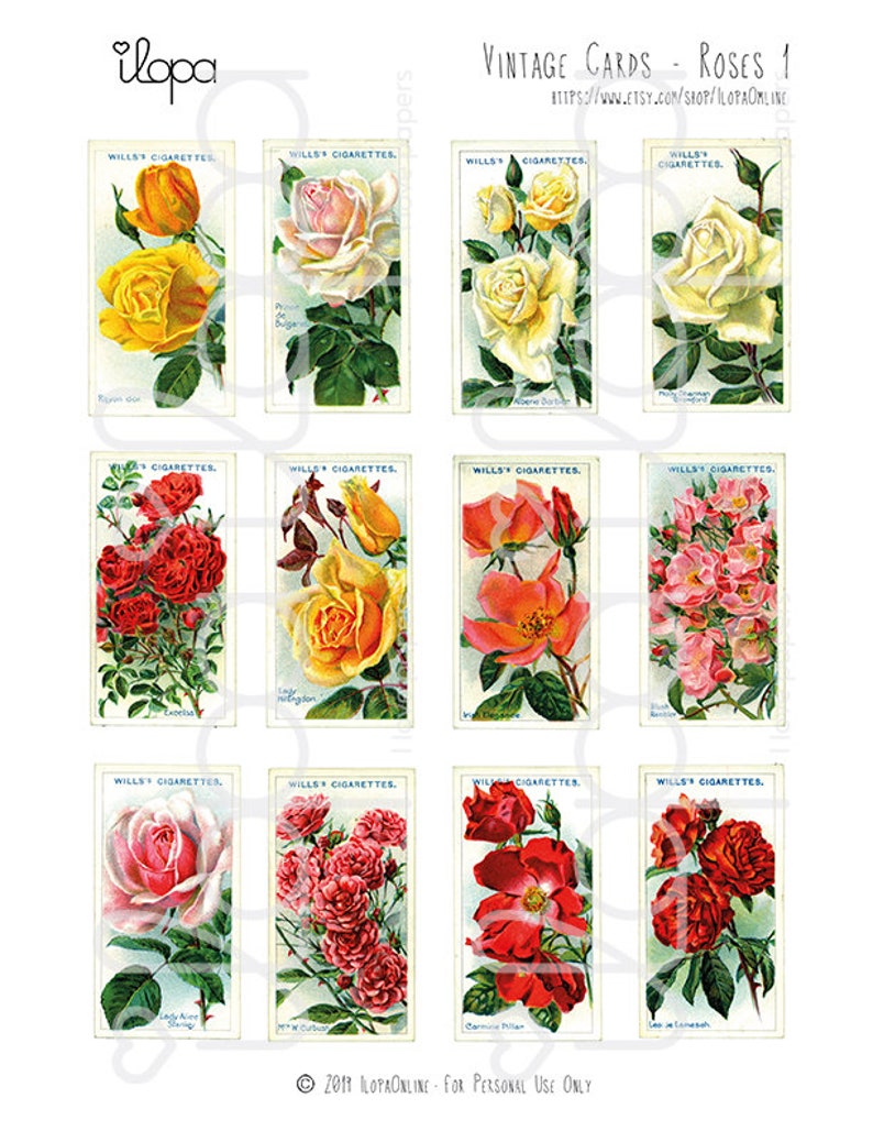 Digital Vintage Roses Ephemera Collage Sheet | Etsy