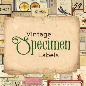 Étiquettes numériques vintage Style Specimen
