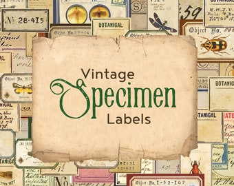 Digital Vintage Style Specimen Labels