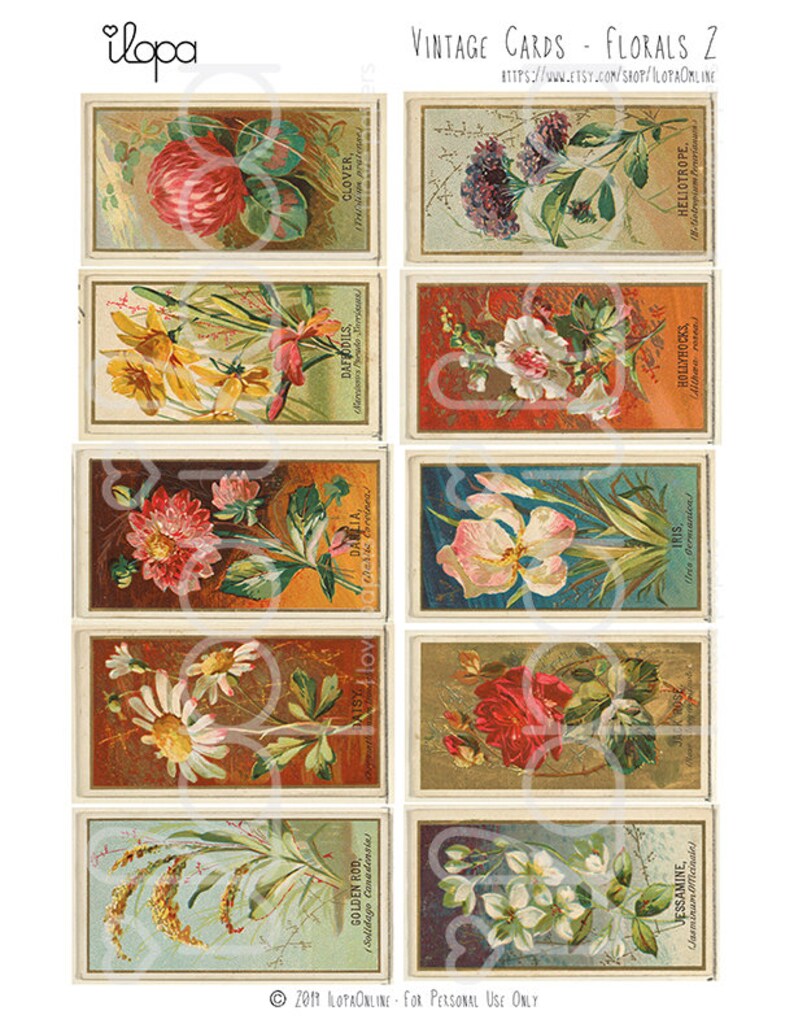 Digital Vintage Flower Ephemera Collage Sheet - Etsy