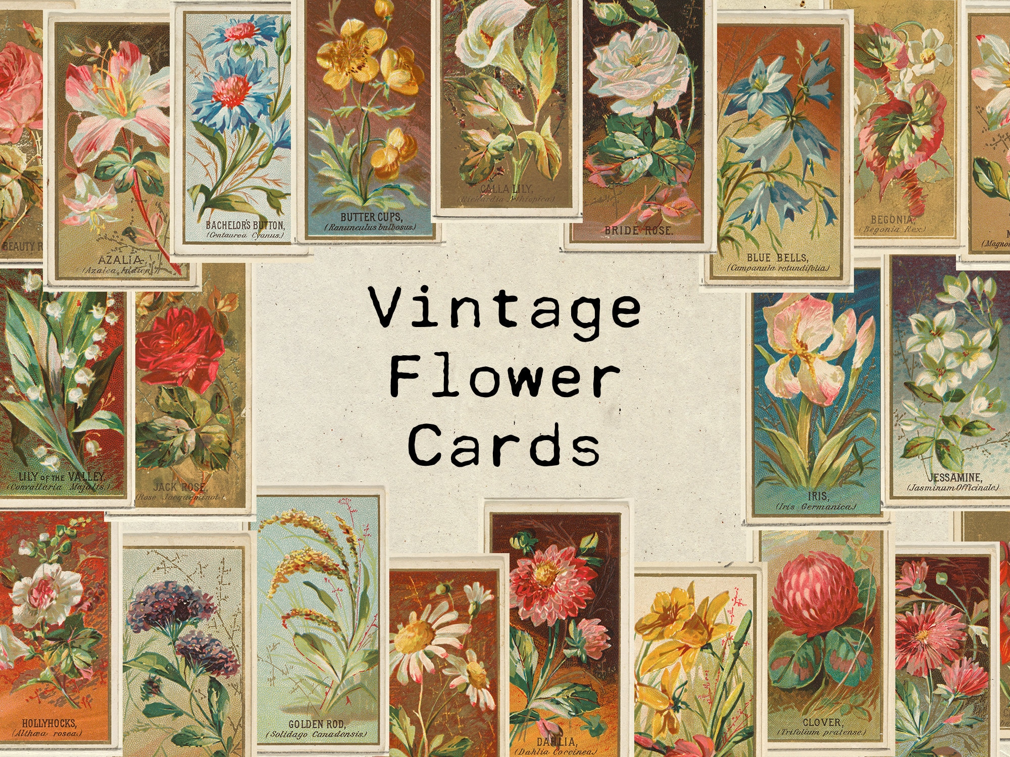 Digital Vintage Flower Ephemera Collage Sheet