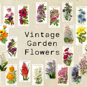 Digital Vintage Garden Flower Ephemera Collage Sheet