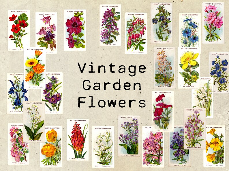 Digital Vintage Garden Flower Ephemera Collage Sheet Etsy