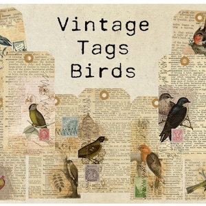 Digitale Vintage Eintagsfliegen Tags Vögel, Vintage-Eintagsfliegen, Vintage collage