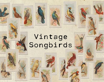 Digital Vintage Songbird Ephemera Collage Sheet