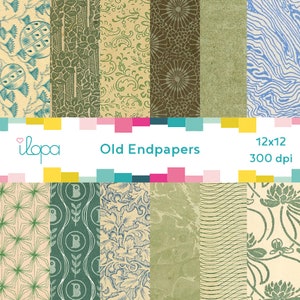 Digital Old Pattern Paper Endpaper 300 dpi 12x12