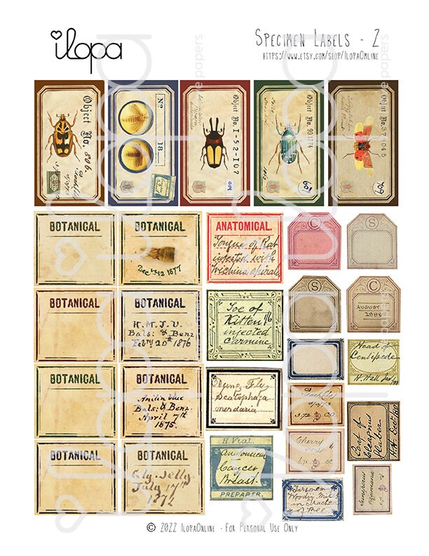 Digital Vintage Style Specimen Labels Etsy