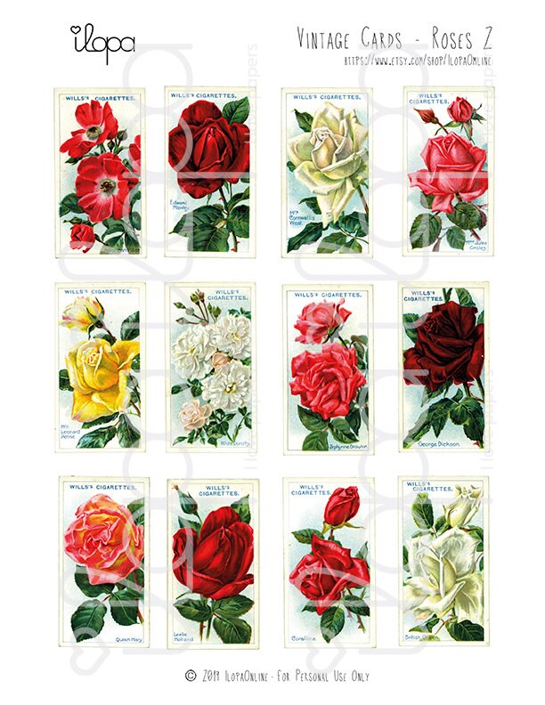 Digital Vintage Roses Ephemera Collage Sheet | Etsy