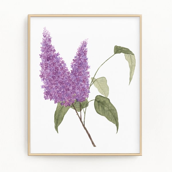 Lilac Print, Watercolor Lilacs Painting, Lilac Art, Floral Art, Floral Print, Purple Florals, Flower painting, Watercolor Botanicals