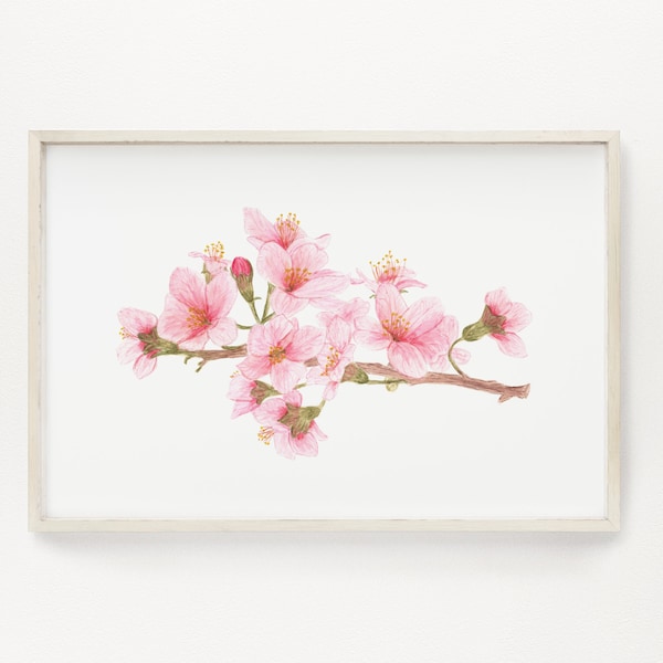 Cherry Blossom Print, Watercolor Cherry Blossom Painting, Pink Cherry Tree Art, Floral Art, Floral Print, Floral Home Decor, Pink flowers