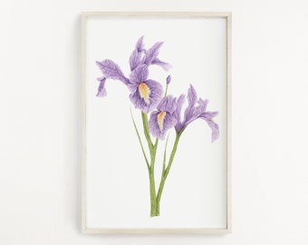 Iris Print, Watercolor Irises Painting, Iris Art, Floral Art, Floral Print, Floral Home Decor, Flower painting, Purple Irises