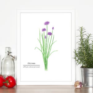 Chives Watercolor Painting, Kitchen Wall Art, Fine Art Print, Wall Art, Home Decor, Herb Painting, Food Art, Botanical Art, Gardener Gift