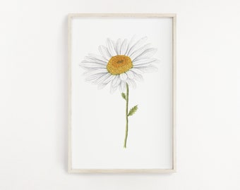 Daisy Print, Watercolor Daisy Painting, Daisy Art, Floral Art, Floral Print, April Birth Flower, Flower Art, Daisy Flower, Daisy Gift