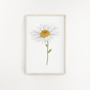 May include: A framed print of a white daisy with a yellow center, drawn in a simple, minimalist style.