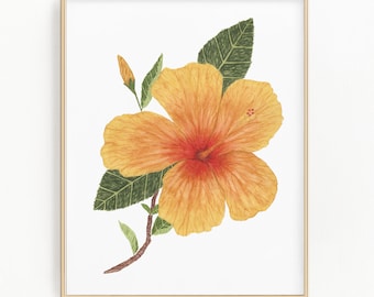 Pintura de hibisco en acuarela, lámina artística de la flor estatal de Hawái