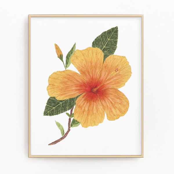 Aquarelle Hibiscus, Peinture d’Hibiscus, Art d’Hibiscus, Art Floral, Impression Florale, Floral Tropical, Fleur Jaune, Fleur d’Oranger