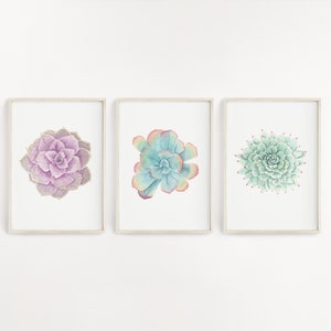 Set of Watercolor Succulents, Succulent Prints, Colorful Succulent Art, Succulent wall Decor, Pastel Succulents