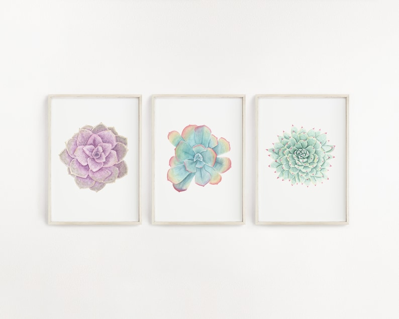 Set of Watercolor Succulents Succulent Prints Colorful - Etsy