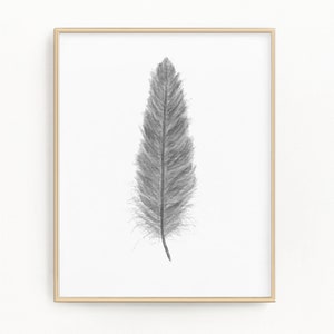 Gray Watercolor Feather, Feather Print, Boho Feather Art, Feather, Bird Feather, Grey Decor, Feather wall art, Tribal Art