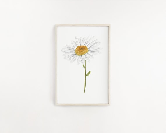 Daisy Print, Watercolor Daisy Painting, Daisy Art, Floral Art, Floral Print, April Birth Flower, Flower Art, Daisy Flower, Daisy Gift
